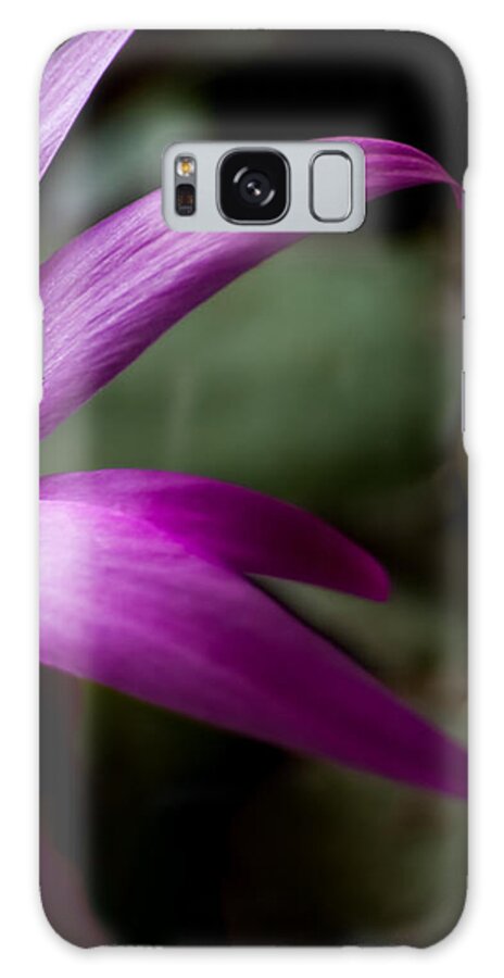 Flowers Galaxy Case featuring the photograph Purple Flower by Steven Milner