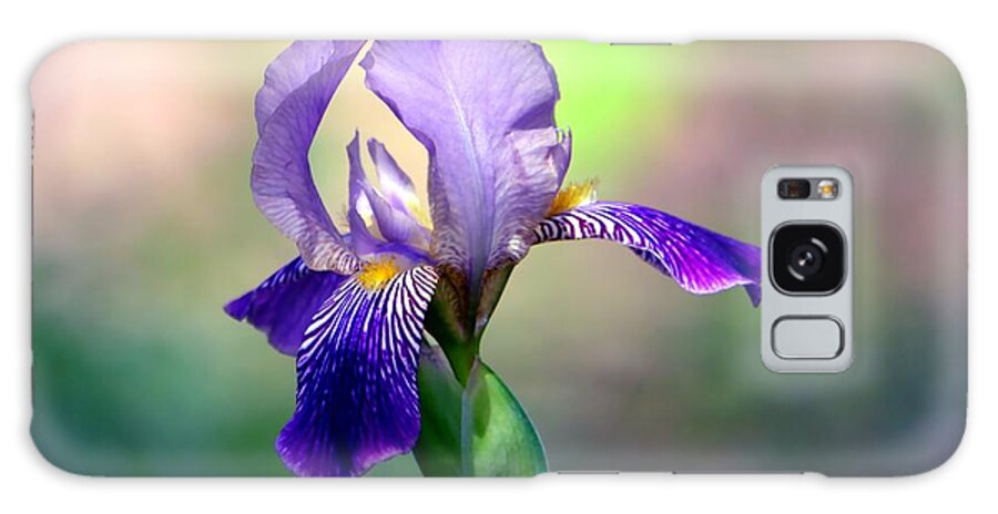 Iris Galaxy Case featuring the photograph Purple Iris by Deena Stoddard
