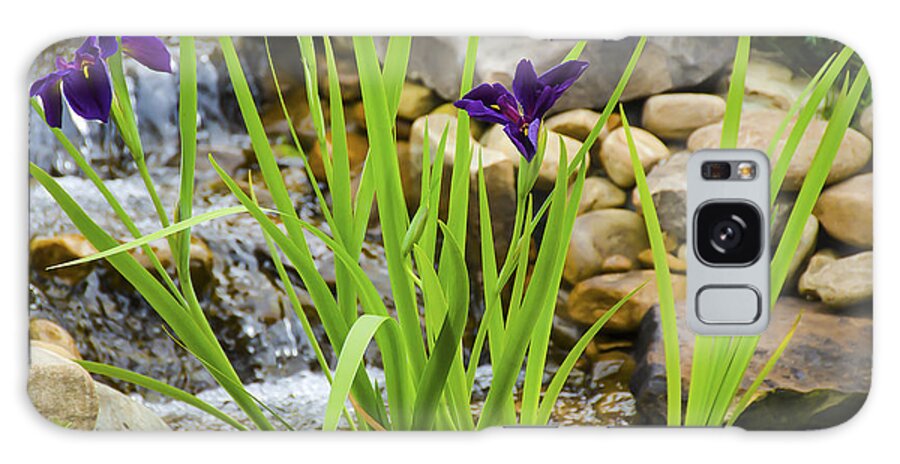 Flowers Galaxy Case featuring the photograph Purple Irises Growing in Waterfall by Penny Lisowski