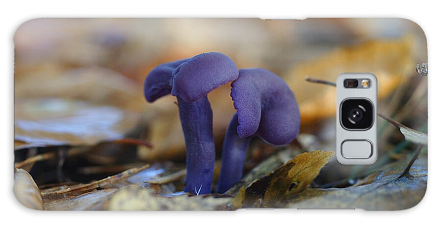 Purple Mushroom Galaxy Case featuring the photograph Purple mushroom by Erik Tanghe