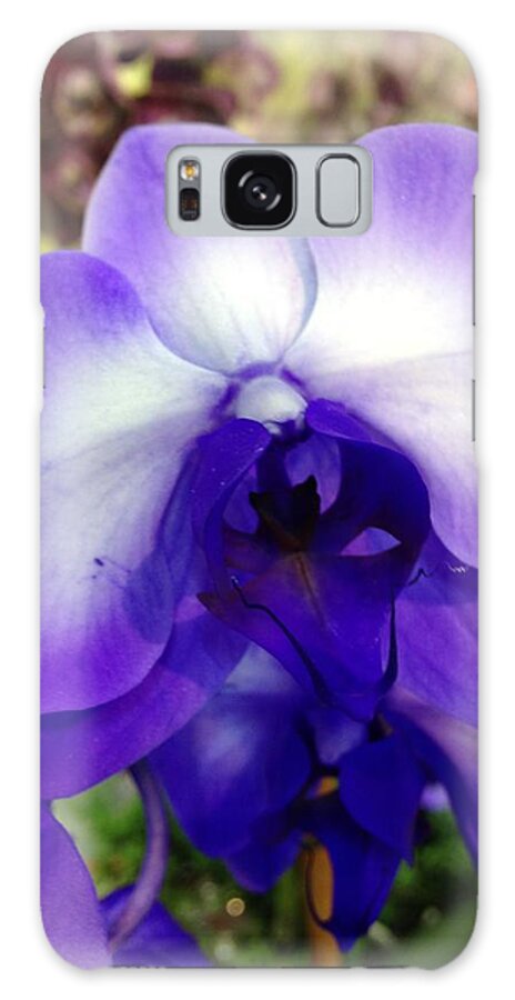 Purple Galaxy Case featuring the photograph Purple Orchid by Marian Lonzetta