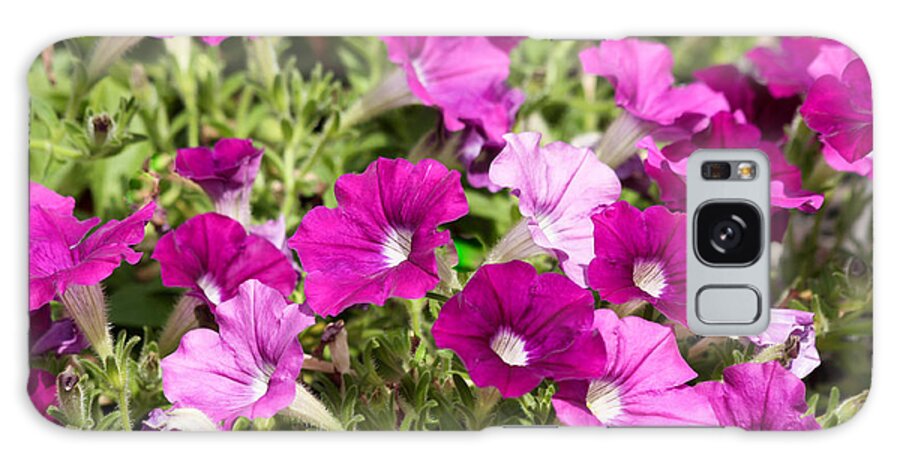 Nature Up Close Galaxy S8 Case featuring the photograph Purple Pansies by Ann Murphy
