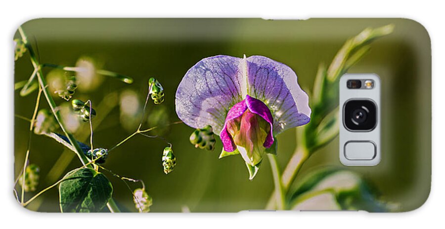 Nature Galaxy Case featuring the photograph Purple Pea Weed Bloom by Michael Whitaker