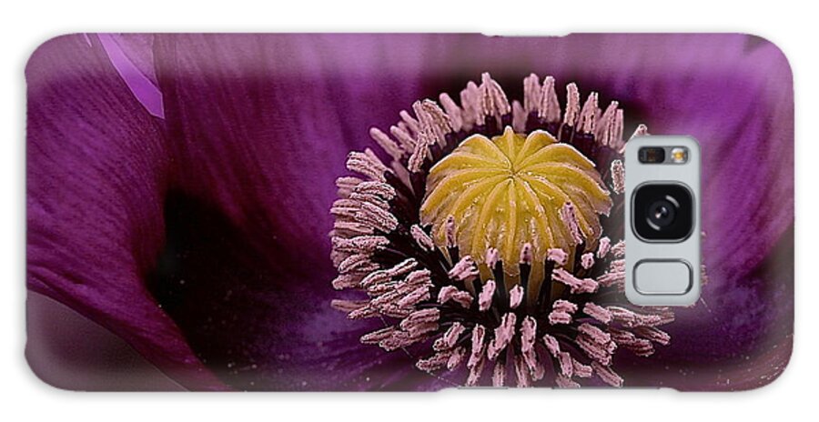 Poppy Galaxy Case featuring the photograph Purple Poppy Perfection by Catia Juliana