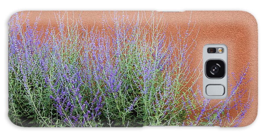   Galaxy Case featuring the photograph Purple Sage and Adobe Wall by Pattie Calfy