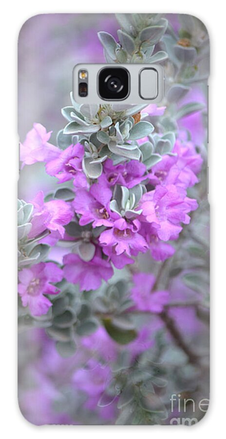 Desert Sage Galaxy Case featuring the photograph Purple Sage by Deb Halloran