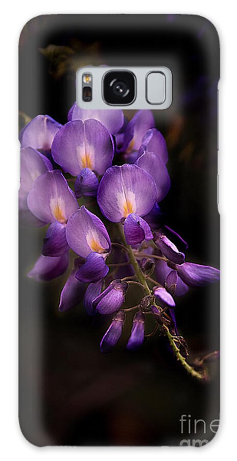 Flower Galaxy Case featuring the photograph Purple Wisteria by T Lowry Wilson