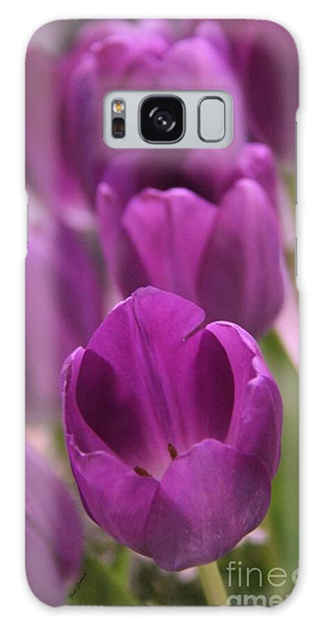 Purple Tulips Galaxy Case featuring the photograph Purples Line by Yumi Johnson