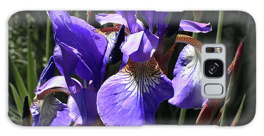 Flower Galaxy Case featuring the photograph Quebec Provincial Flower by Barbara McMahon