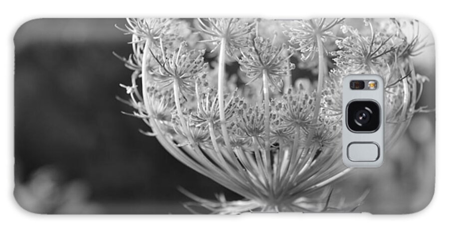 Queen Anne's Lace Galaxy Case featuring the photograph Queen Anne's Lace by Mike Witkus
