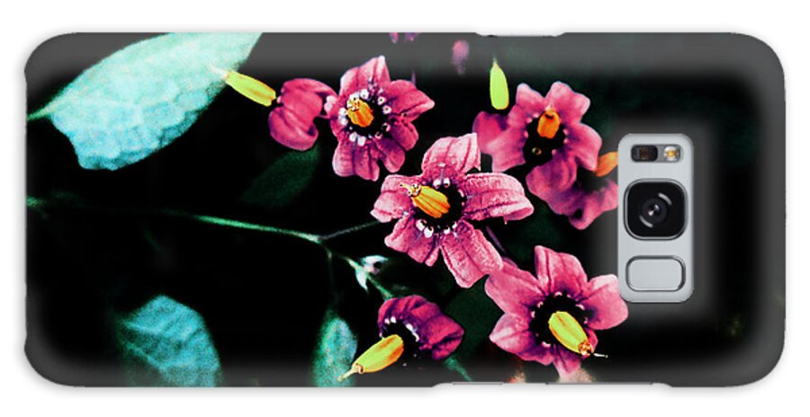 Flower Galaxy Case featuring the photograph Quietly Blooming by Zinvolle Art