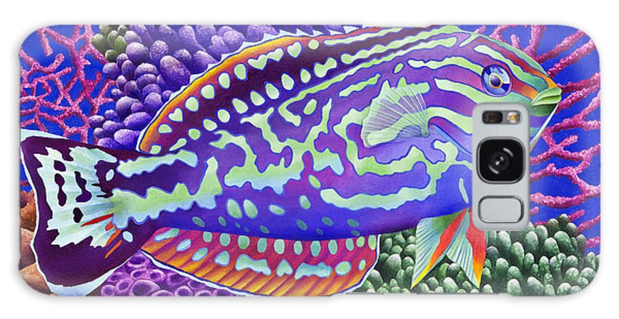 Carolyn Steele Galaxy Case featuring the photograph Radical Wrasse by MGL Meiklejohn Graphics Licensing