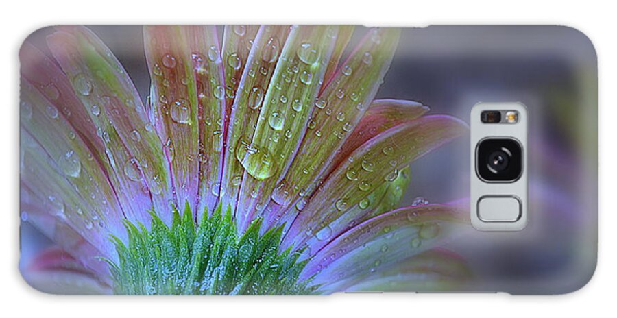 Daisy Galaxy S8 Case featuring the photograph Rain Petals by Michelle Ayn Potter