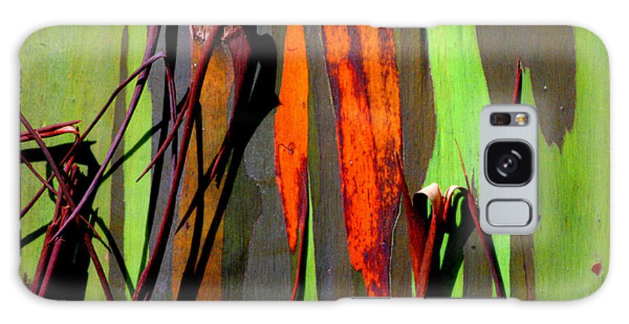 Maui Galaxy Case featuring the photograph Rainbow Eucalyptus 2 by Mike Neal