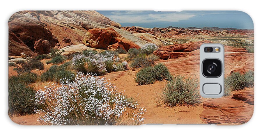 Canyons Galaxy Case featuring the photograph 601P Rainbow Vista in the Valley of Fire by NightVisions