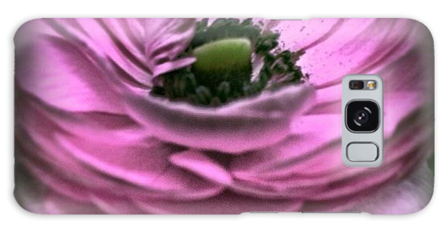 Ranunculus Galaxy Case featuring the photograph Ranunculus #ranunculus #flower #flowers by Cy Rena