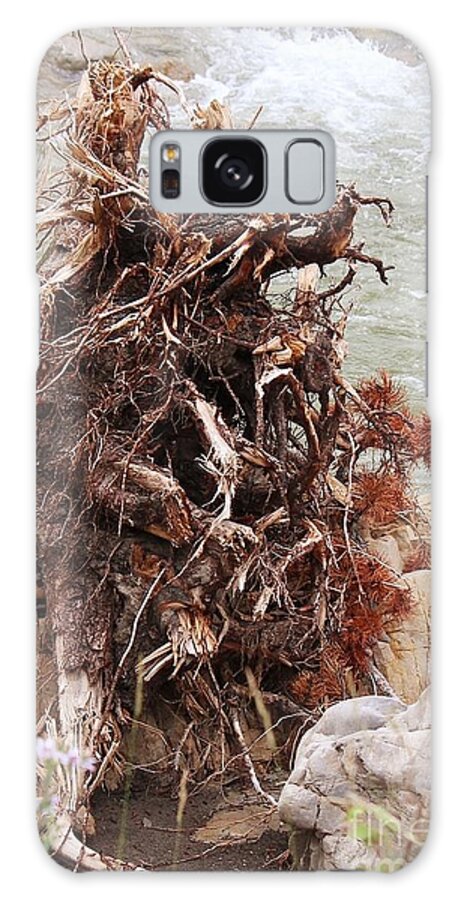 Tree Galaxy Case featuring the photograph Ravaged Roots by Ann E Robson