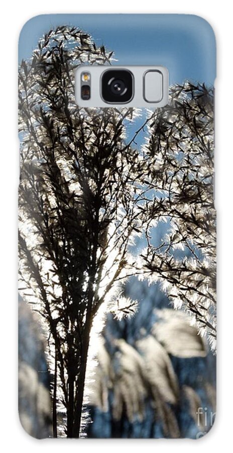 Ornamental Grass Galaxy Case featuring the photograph Reaching Out by Jane Ford