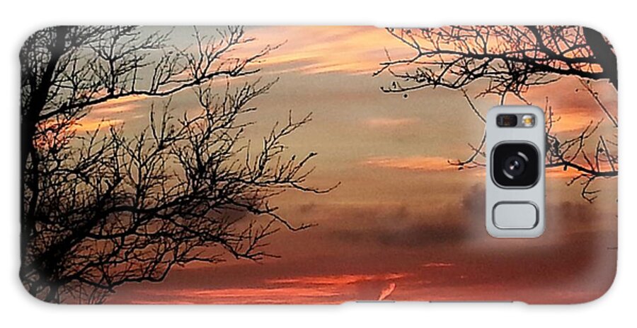 Trees Galaxy Case featuring the photograph Reaching Out to You by Joetta Beauford