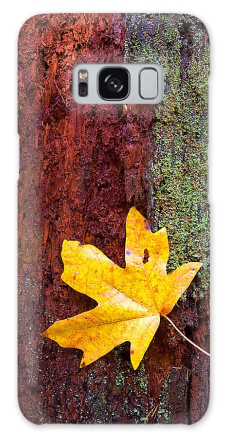 Leaves Galaxy Case featuring the photograph Reclamation by Michael Dawson