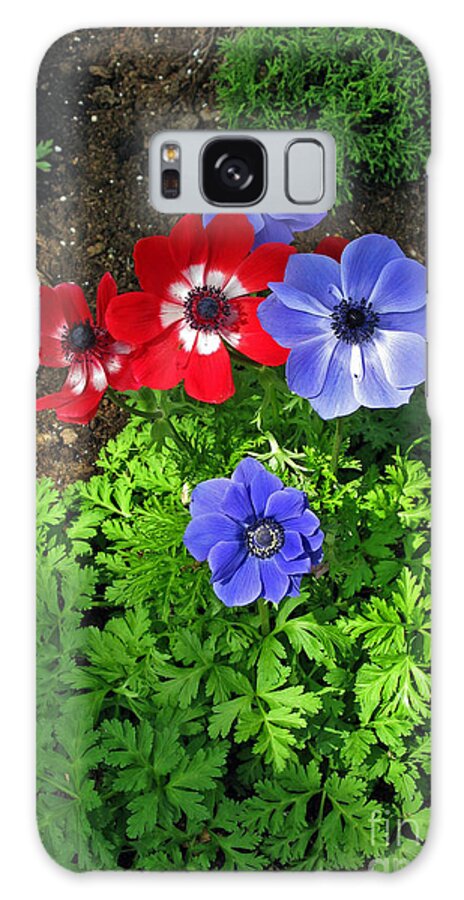 Anemone Galaxy Case featuring the photograph Red and Blue Anemones by Ausra Huntington nee Paulauskaite