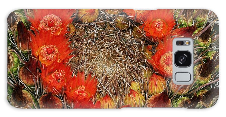 Red Barel Cactus Flowers Galaxy Case featuring the photograph Red Barell Cactus Flowers by Tom Janca