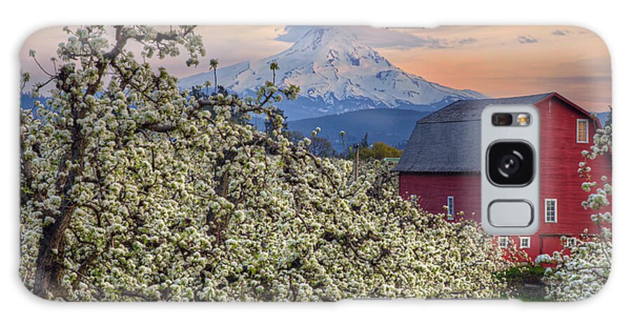 Red Barn Galaxy Case featuring the photograph Red Barn in Hood River Pear Orchard by David Gn