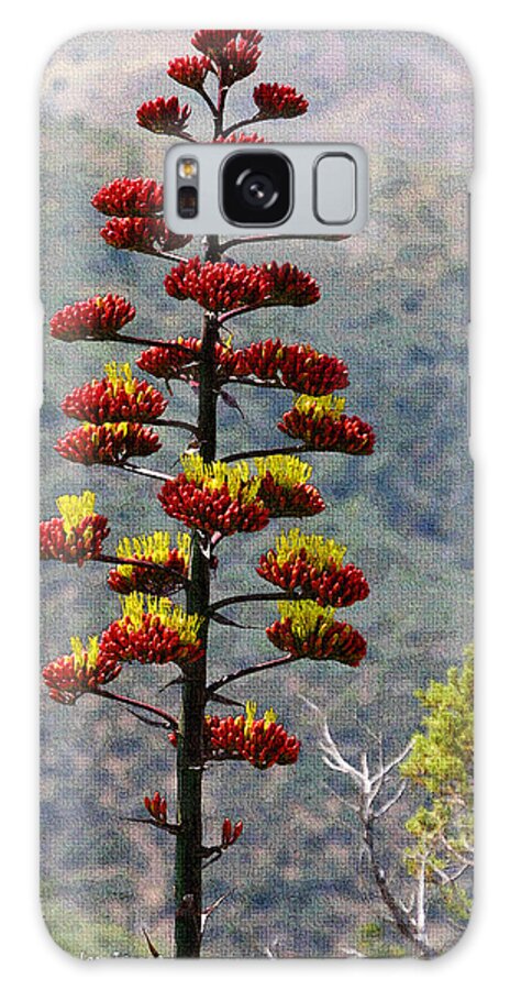 Red Bud Agave Yellow Flowers Galaxy Case featuring the photograph Red Bud Agave Yellow Flowers by Tom Janca