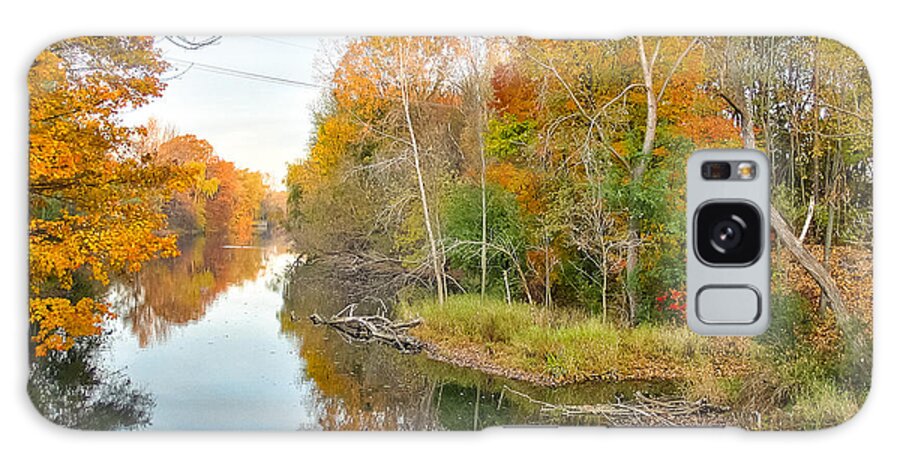 Michigan Galaxy S8 Case featuring the photograph Red Cedar Fall Colors by Lars Lentz