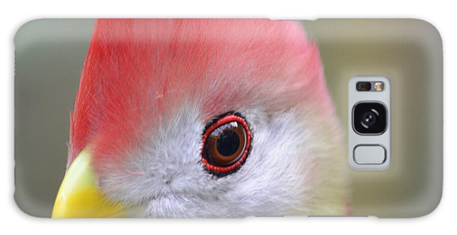 Bird Galaxy S8 Case featuring the photograph Red Crested Turaco by Richard Bryce and Family