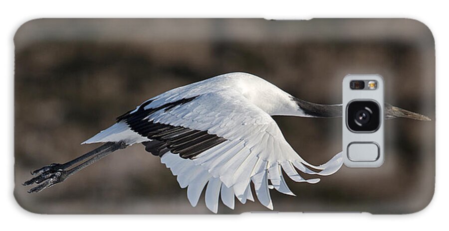 Red-crowned Crane Galaxy Case featuring the photograph Red-Crowned Crane in Flight by Natural Focal Point Photography
