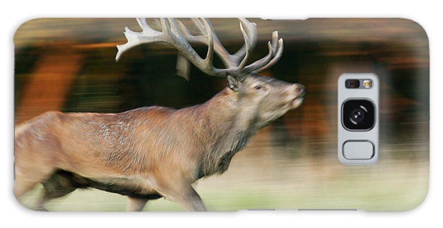 00620945 Galaxy Case featuring the photograph Red Deer Cervus Elaphus Stag Running by Cyril Ruoso