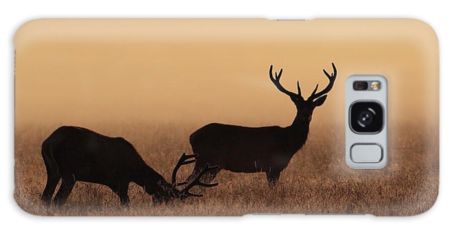 Animal Themes Galaxy Case featuring the photograph Red Deer by Hammerchewer (g C Russell)