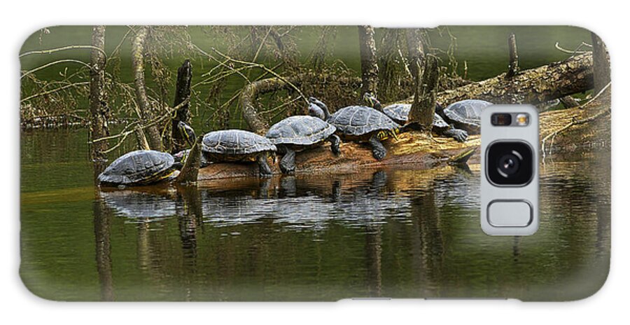 Red-eared Slider Turtles Galaxy Case featuring the photograph Red-eared Slider Turtles by Sharon Talson