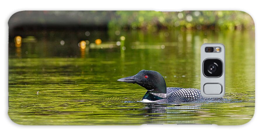 Baxter Lake Galaxy Case featuring the photograph Red Eye Common Loon by Jeff Sinon