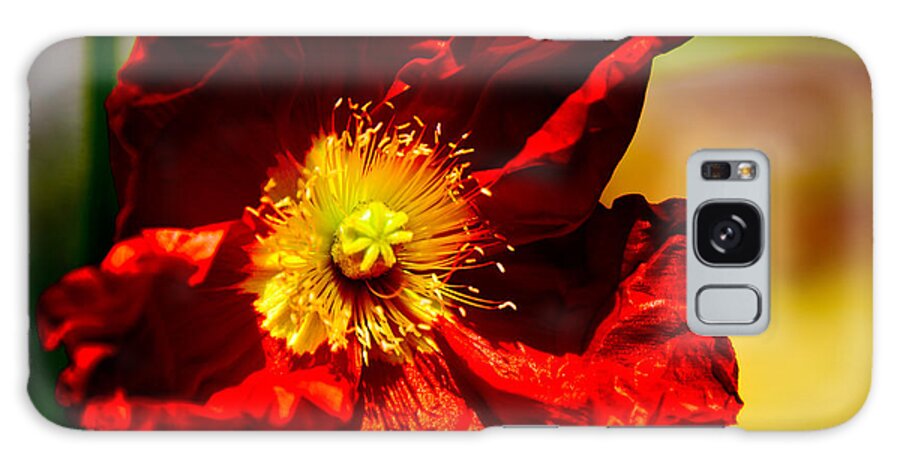 Chanticleer Gardens Galaxy S8 Case featuring the photograph Red Flower by Louis Dallara