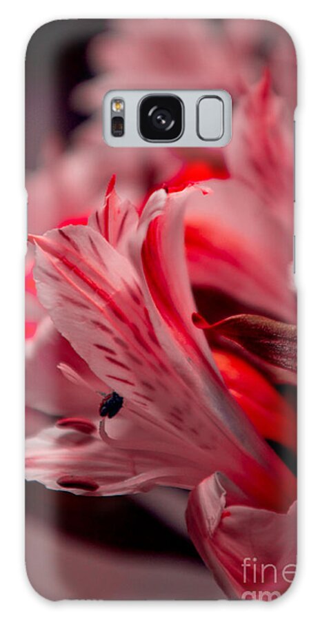 Adria Trail Galaxy Case featuring the photograph Red Freesia by Adria Trail