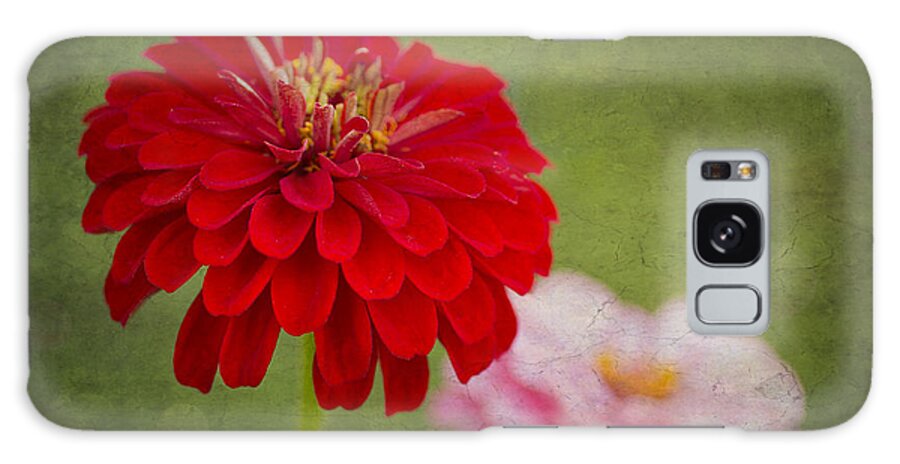Zinnia Flower Galaxy Case featuring the photograph Red Glow by Marina Kojukhova