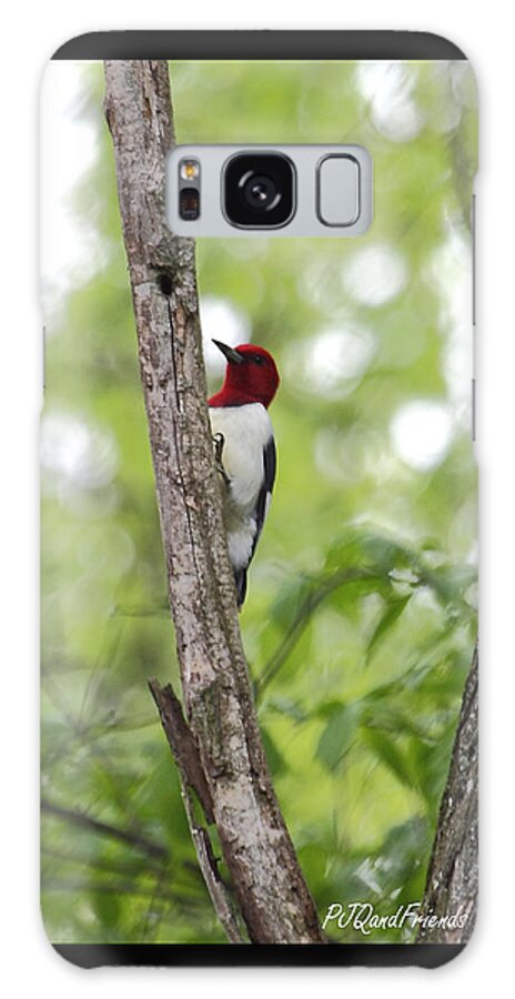 Red-headed Woodpecker Galaxy Case featuring the photograph Red-headed Woodpecker by PJQandFriends Photography
