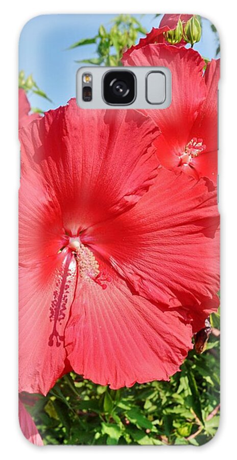 Hibiscus Galaxy Case featuring the photograph Red Hibiscus by Kim Bemis