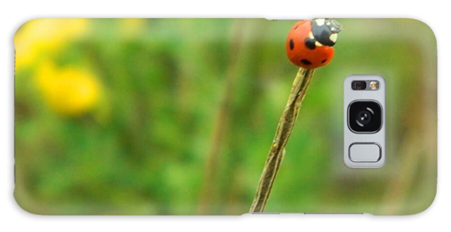 Ladybug Galaxy Case featuring the photograph Red Ladybug by Gallery Of Hope 