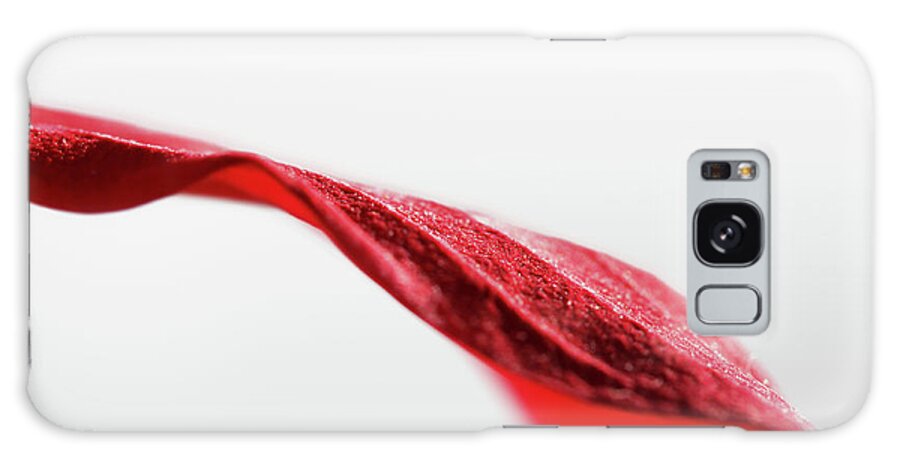 Curve Galaxy Case featuring the photograph Red Leaf Close Up by Kelly Bowden