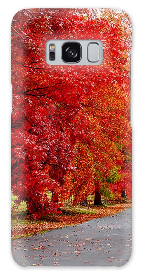 Red Leaf Leaves Fall Colors Road Wet Lined Chico Ca Tree Galaxy S8 Case featuring the photograph Red Leaf Road by Holly Blunkall