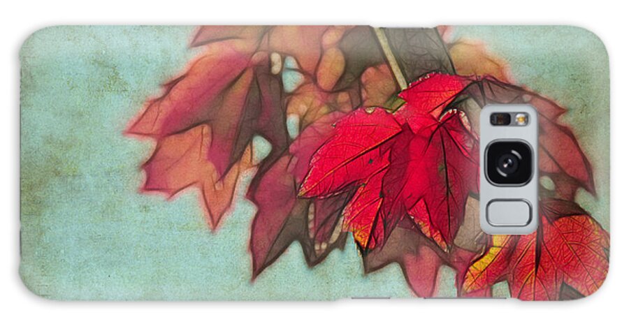 Tree Galaxy Case featuring the photograph Red Maple by Judi Bagwell