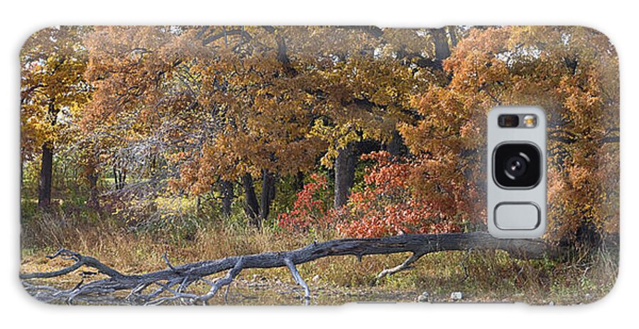 Autumn Galaxy Case featuring the photograph Red Oaks on the Shore by Lynn Hansen
