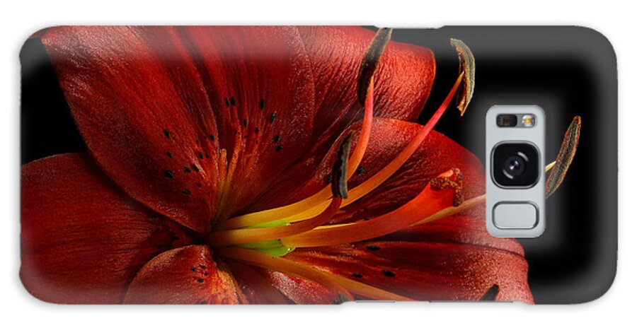 Red Oriental Lily- Close Dark - Greg Sava Galaxy S8 Case featuring the photograph Red Oriental Lily Close Dark by Greg Sava