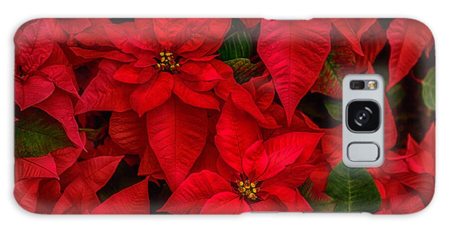 Red Poinsettia Galaxy Case featuring the photograph Red Poinsettia Christmas Star HDR by Iris Richardson