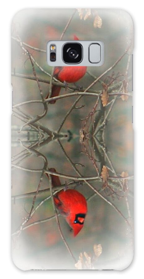 Reflection Galaxy S8 Case featuring the photograph Red Reflection by Barbara S Nickerson