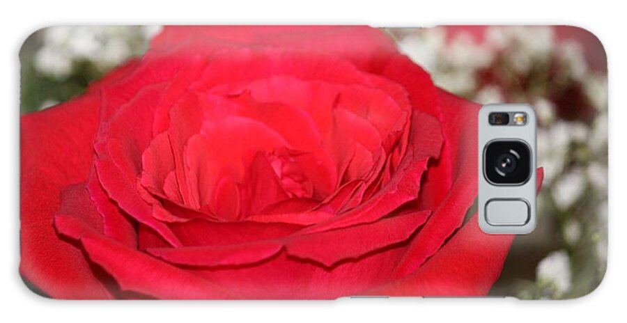 Red Roses Galaxy S8 Case featuring the photograph Red Rose by Kimber Butler