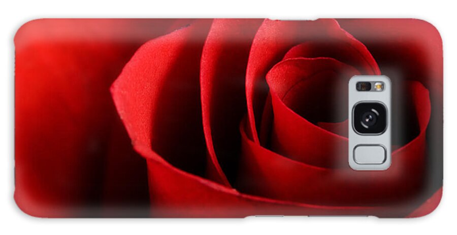 Beautiful Galaxy Case featuring the photograph Red rose macro by Johan Swanepoel